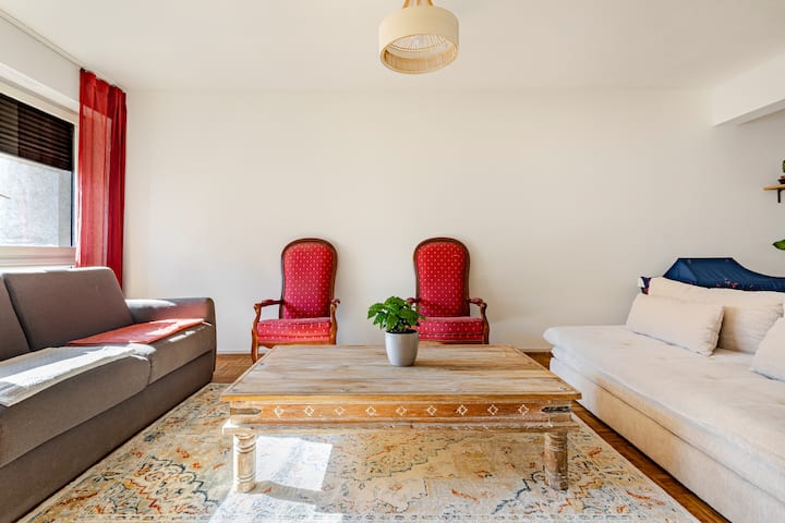 Appartement Charmant, Lumineux Avec 2 Terrasses - Strasbourg