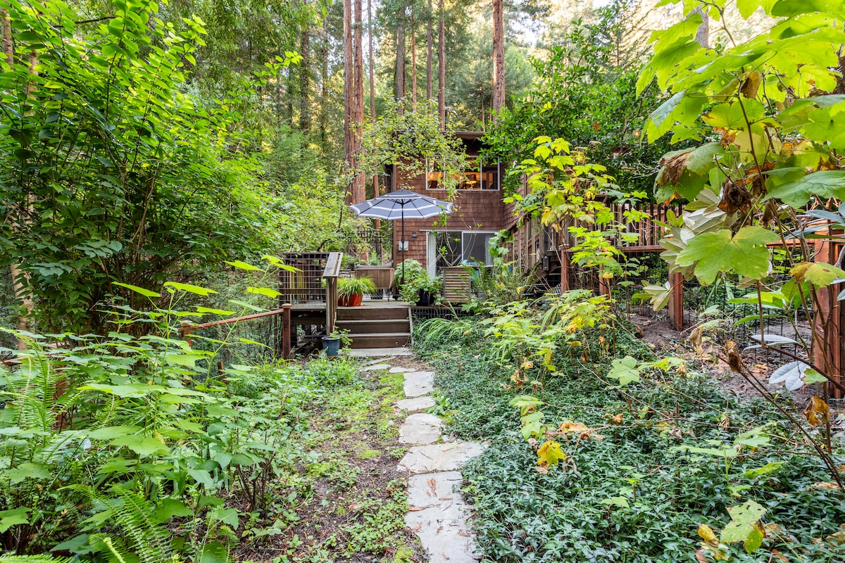 A serene pathway lined with natural stone leads through lush greenery and vibrant foliage toward a two-story cabin. An umbrella shades a small outdoor seating area on the deck, creating a cozy retreat among the towering redwoods.