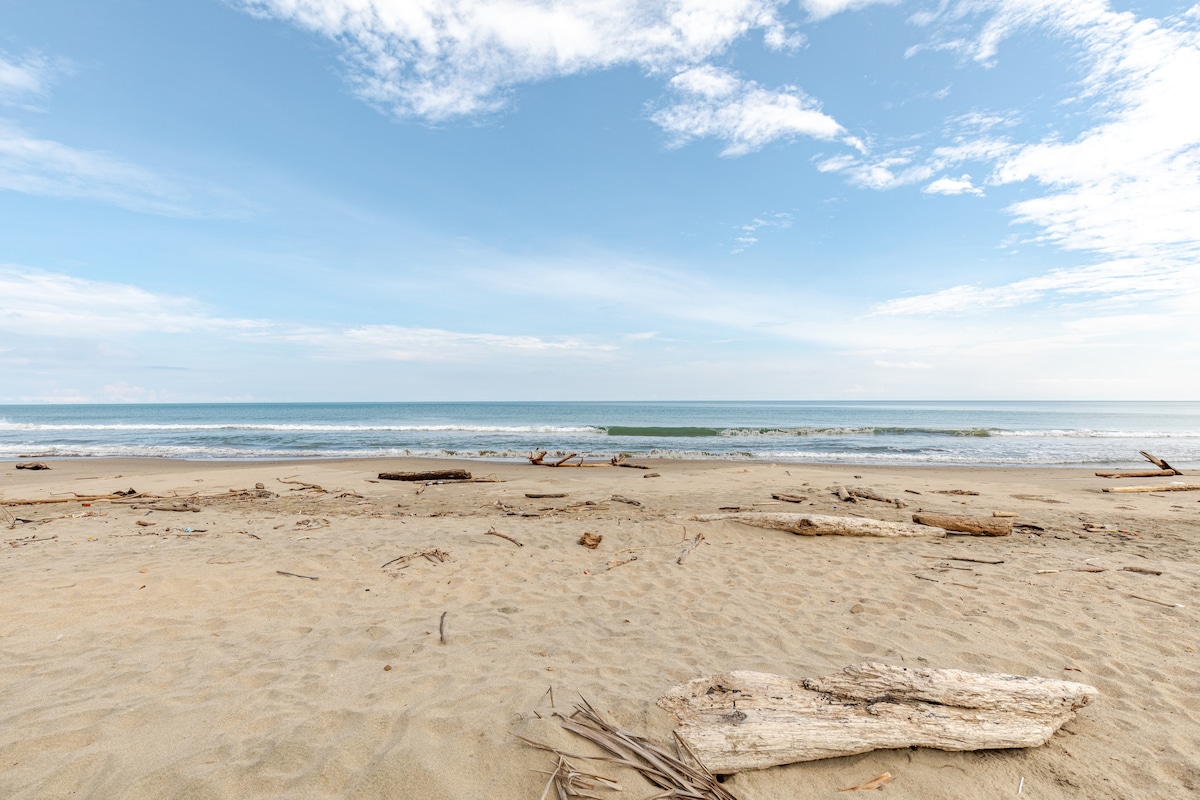 A serene beach landscape features gentle waves lapping at the shore under a clear blue sky. Driftwood and natural debris scatter across the sandy beach, emphasizing the coastal environment's untouched beauty.