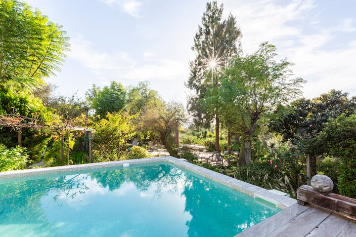 Jasmin Cottage In The Middle Of An Enchanted Garden - Faro
