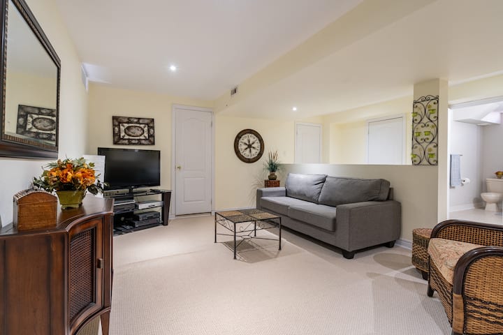 Cozy 1bdr Apt With Kitchen And Bathroom - Richmond Hill