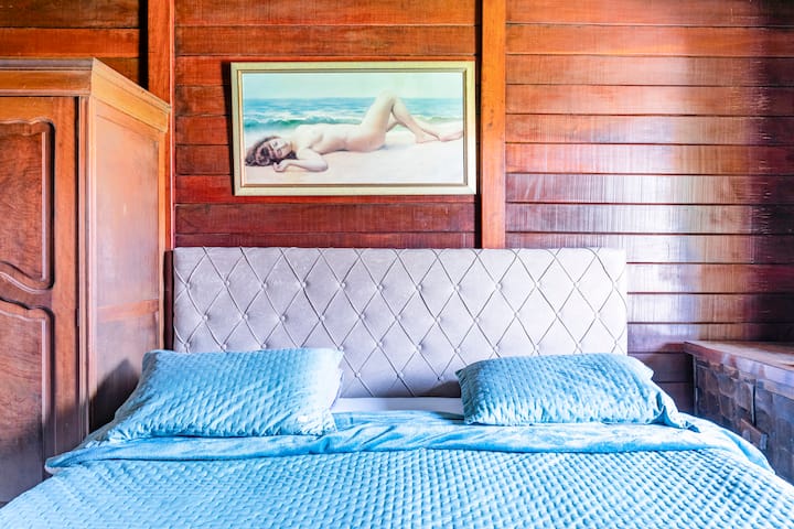 Suite with air-conditioning - main house - garage view (a super King bed)