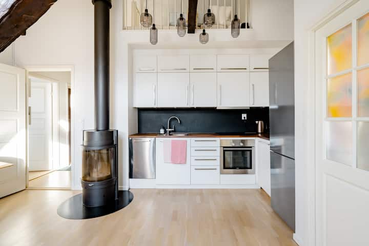 Spacious room in central loft apt.