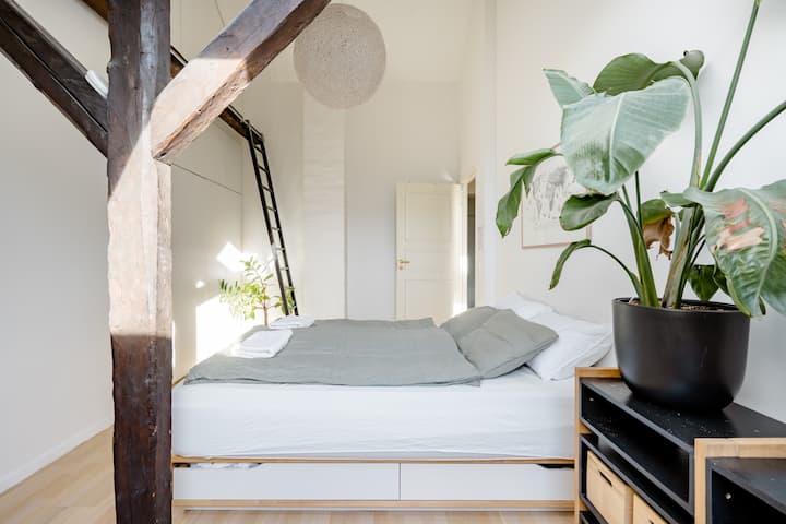 Spacious room in central loft apt.