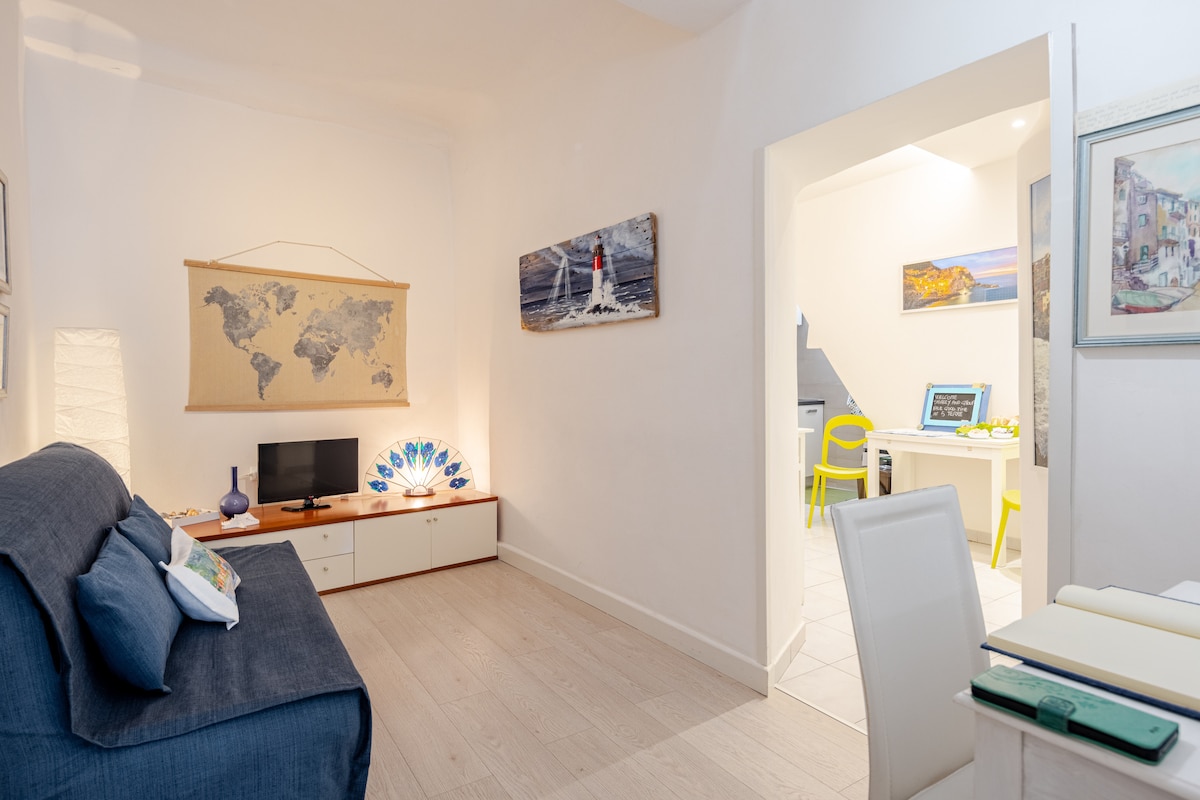 Propiedad de Airbnb exitosa: Paola's House   Riomaggiore 011024-lt-0134 en Riomaggiore
