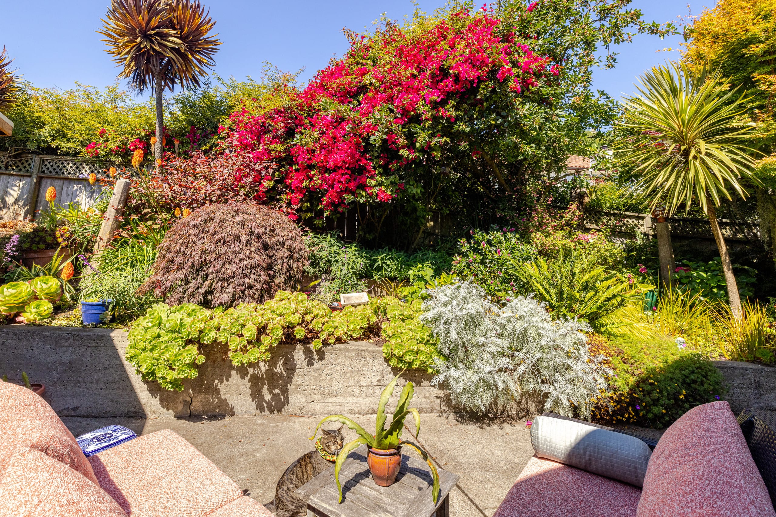 Cozy Studio with Garden 20 minutes from SFO - Image 35