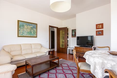 100 sqm  apartment with terrace in the vineyards