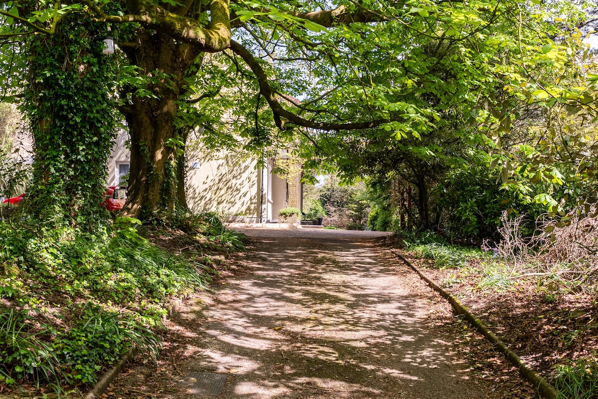 A tree-lined pathway is framed by lush greenery, leading towards a light-colored structure partially visible in the background. The ground is enveloped in gravel, while dappled sunlight filters through the overhead branches, creating a tranquil and inviting entrance.