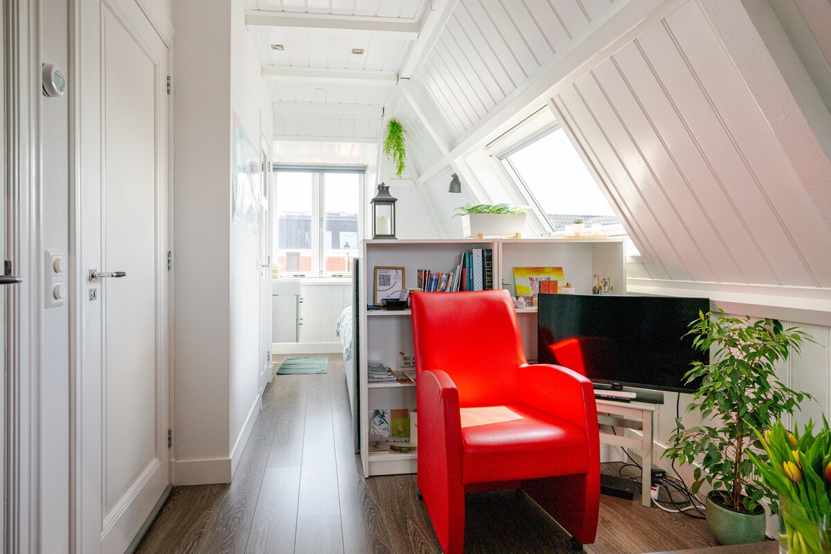 Top performing Airbnb: B&B Alkmaars Toppunt in Binnenstad West