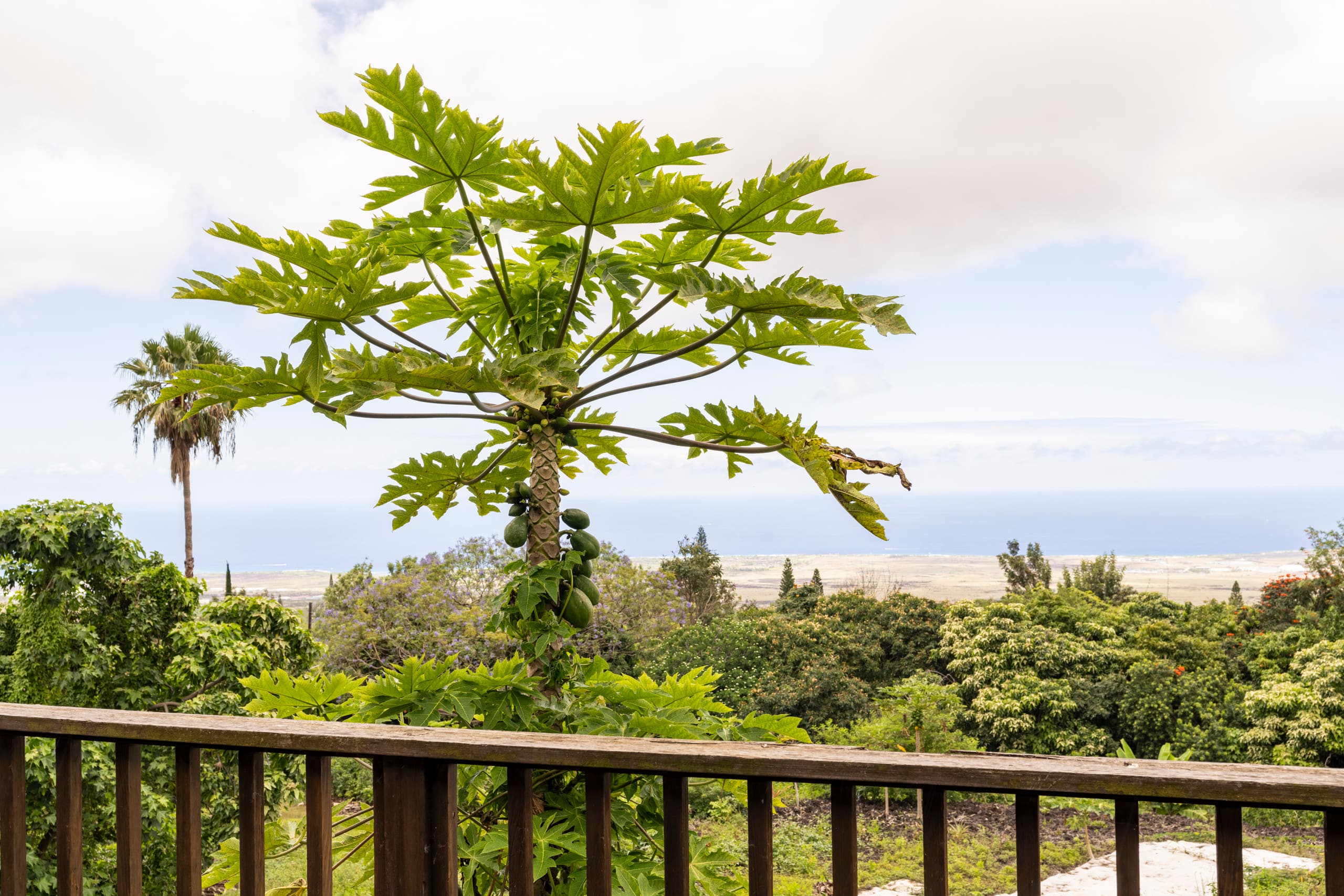 Affordable and ideal location - Photo 20