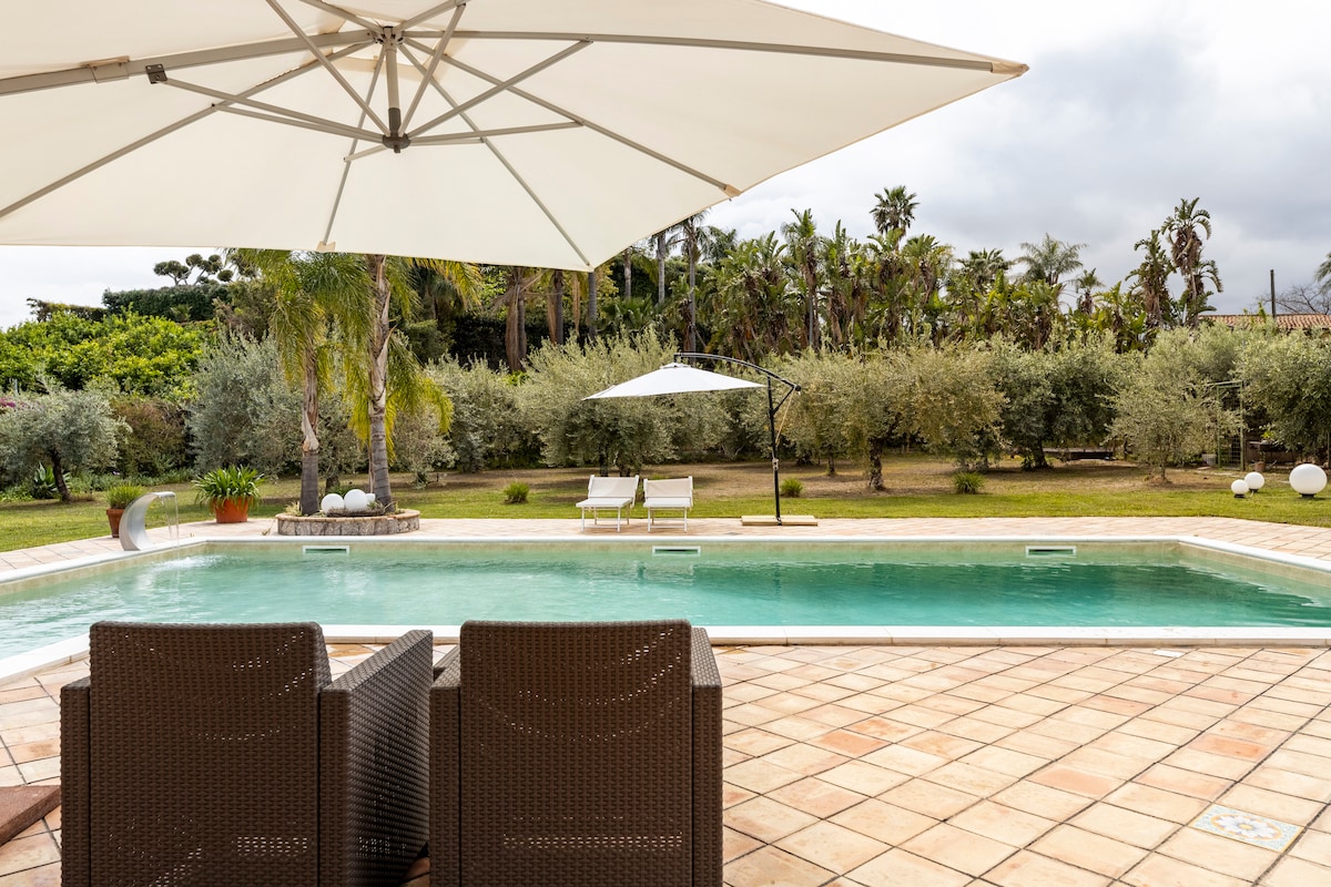 A spacious swimming pool is surrounded by a tiled deck, featuring two sun loungers under a large umbrella. Lush greenery and palm trees are in the background, providing a serene outdoor environment. The pool's clear water reflects the cloudy sky.