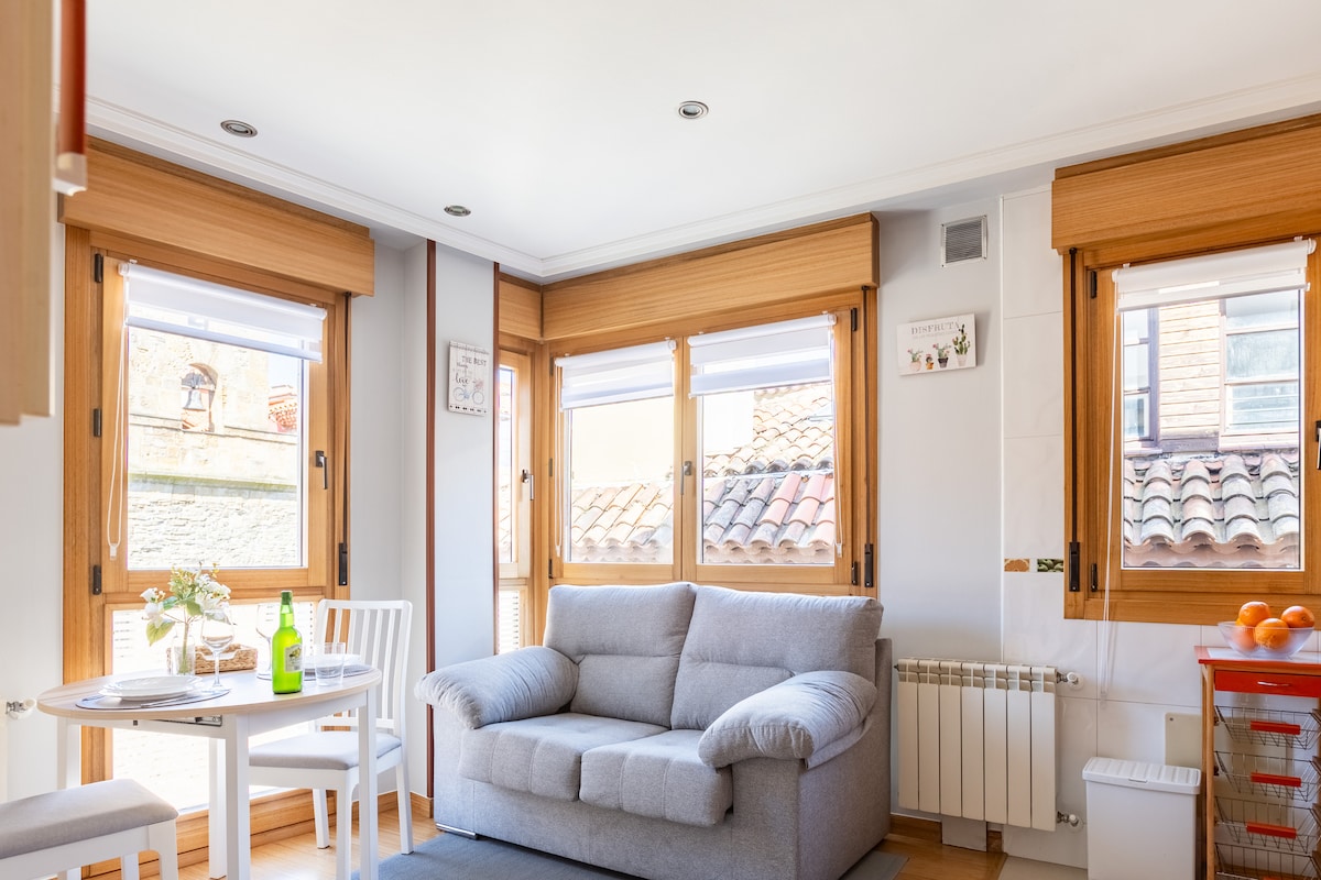 Top performing Airbnb: Apartment in Cimadevilla in Gijón / Xixón