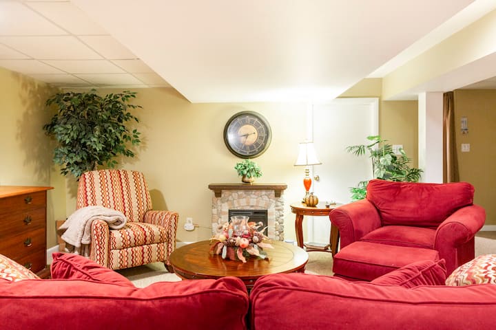 Electric fireplace in living space 