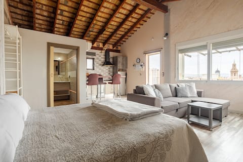 Penthouse with terrace in downtown La Cambra