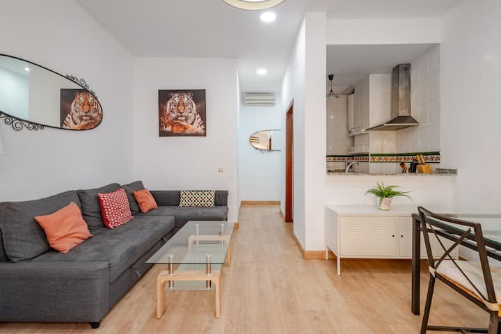 Apartamento En Triana Dos Dormitorios Vft/se/02504 - Bormujos