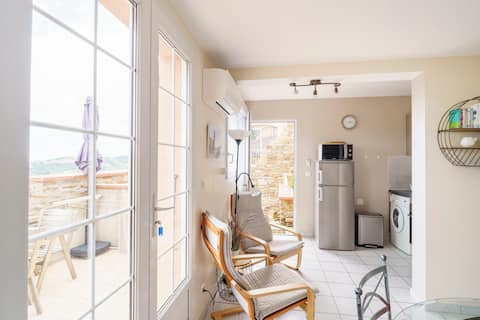 Successful Airbnb property: Independent 3* apartment, large terrace, sea view in Banyuls Sur Mer