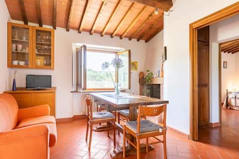 Top Airbnb: Felciano Agritourism in Greve In Chianti