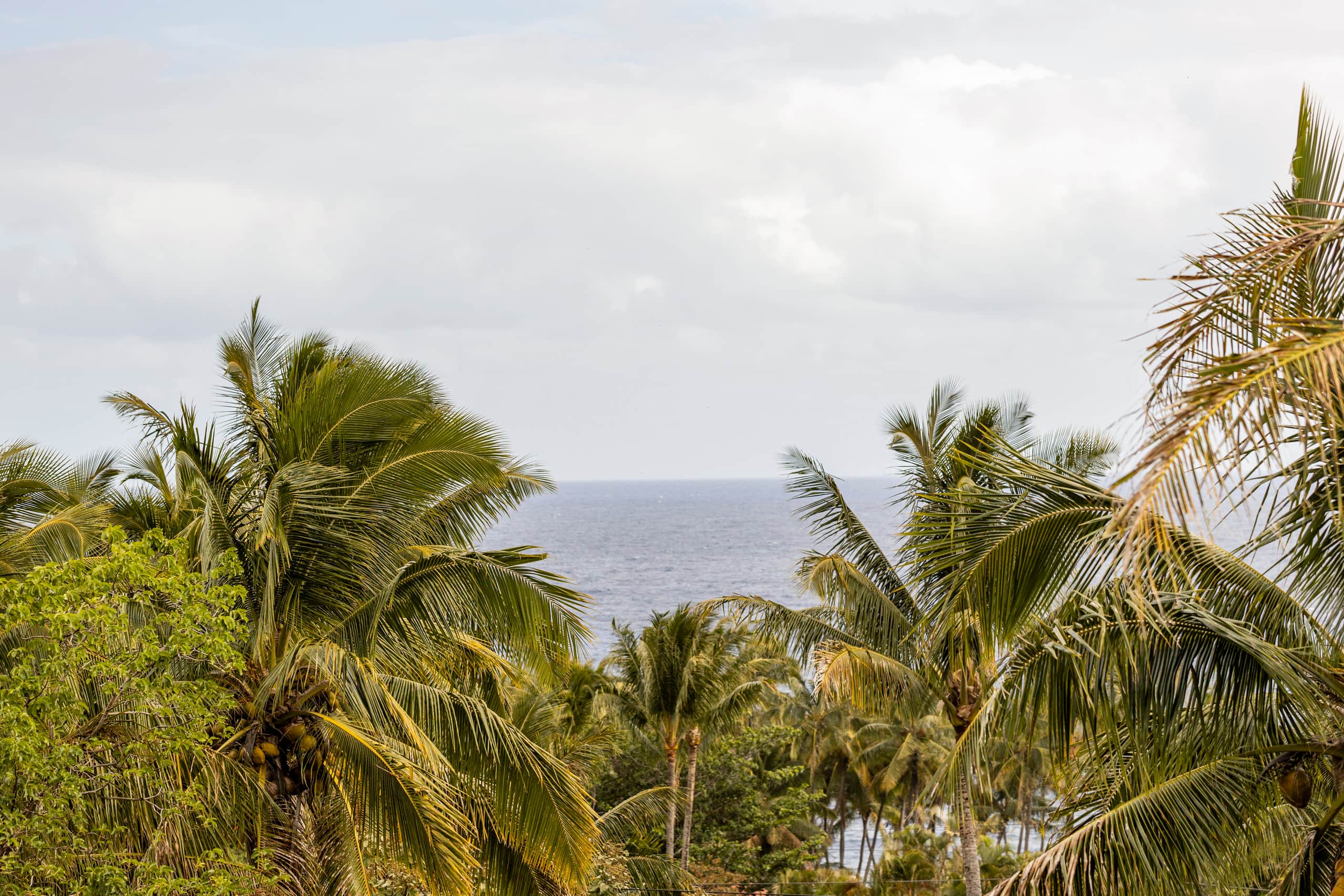 Home in Pahoa · ★4.97 · Studio · 2 beds · 1 bath - Image 26