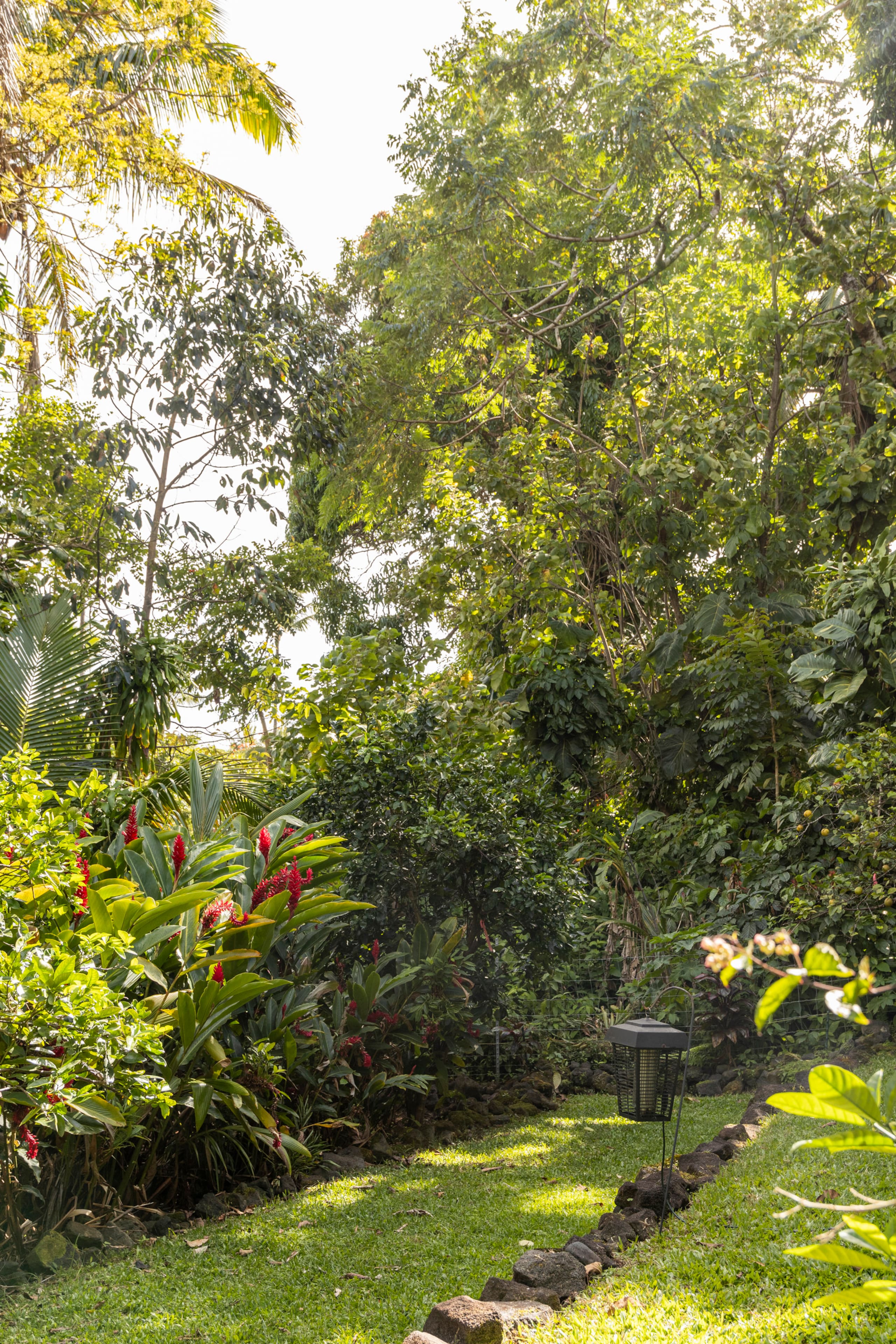 Home in Pahoa · ★4.97 · Studio · 2 beds · 1 bath - Image 25