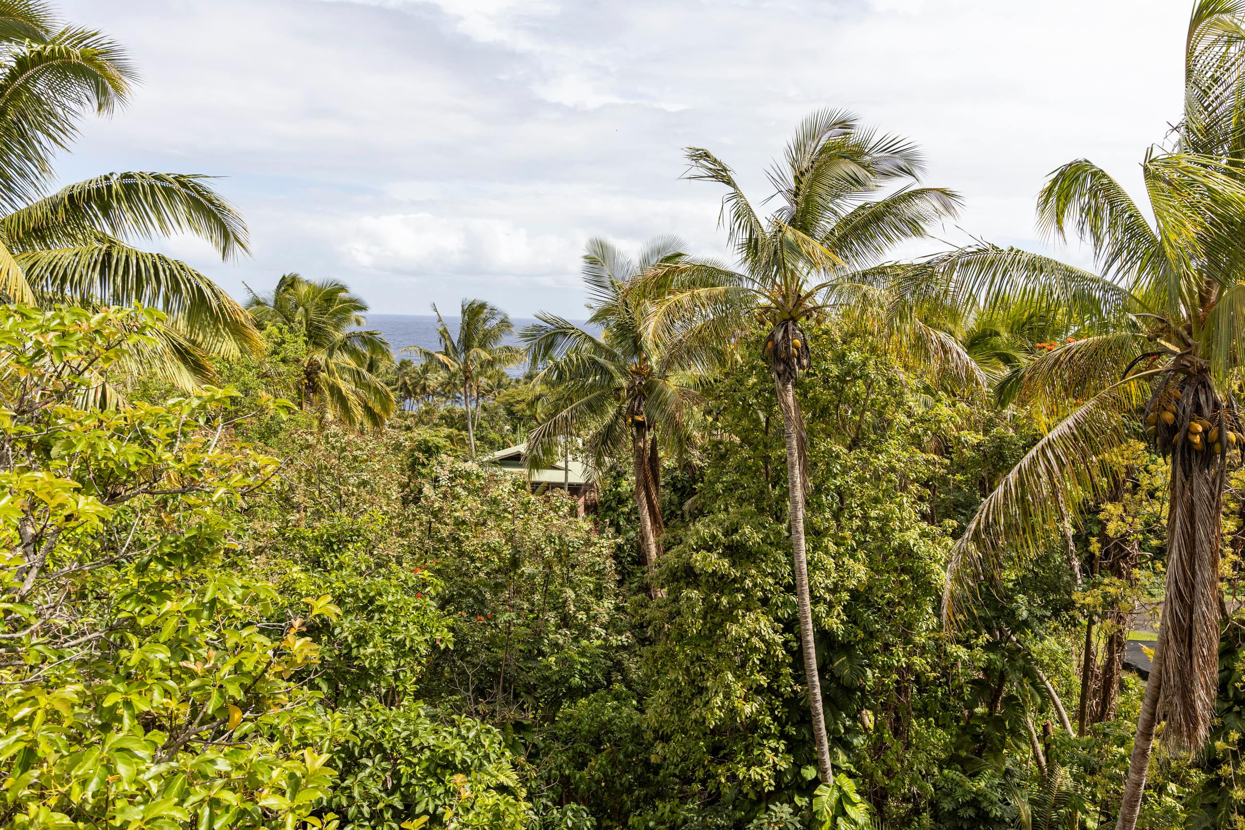 Home in Pahoa · ★4.97 · Studio · 2 beds · 1 bath - Image 28
