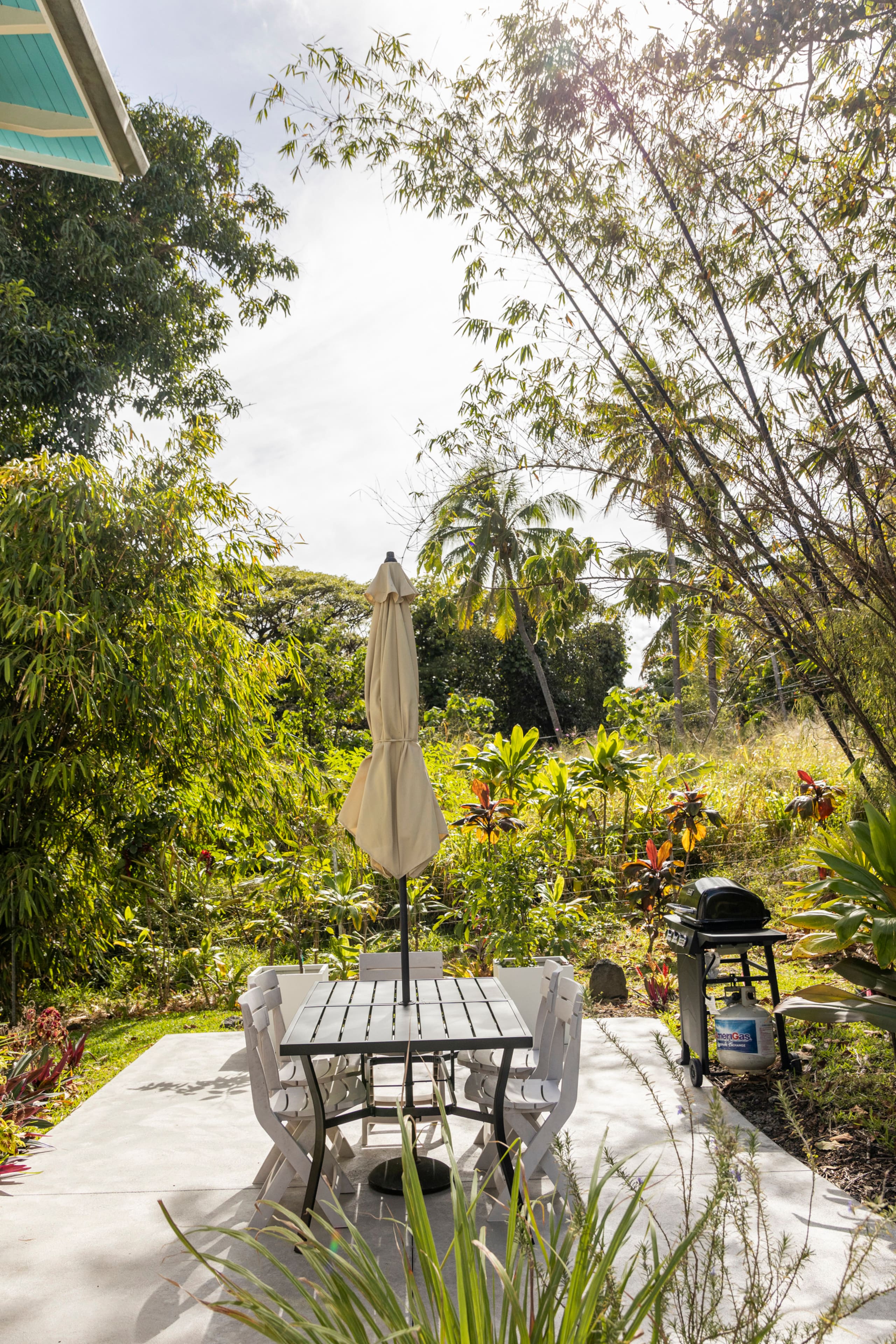 Home in Pahoa · ★4.97 · Studio · 2 beds · 1 bath - Image 30