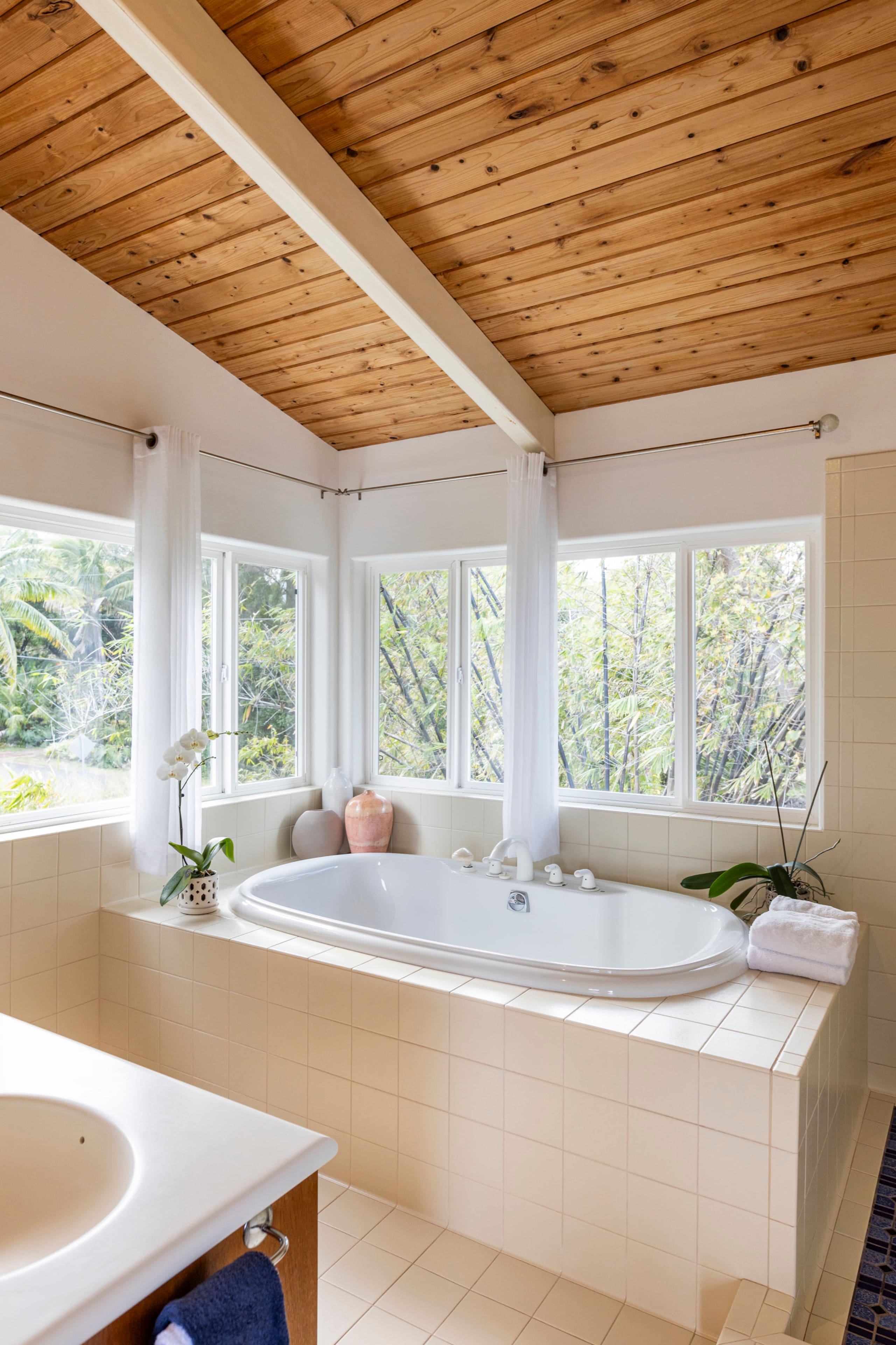 Home in Pahoa · ★4.97 · Studio · 2 beds · 1 bath - Image 19