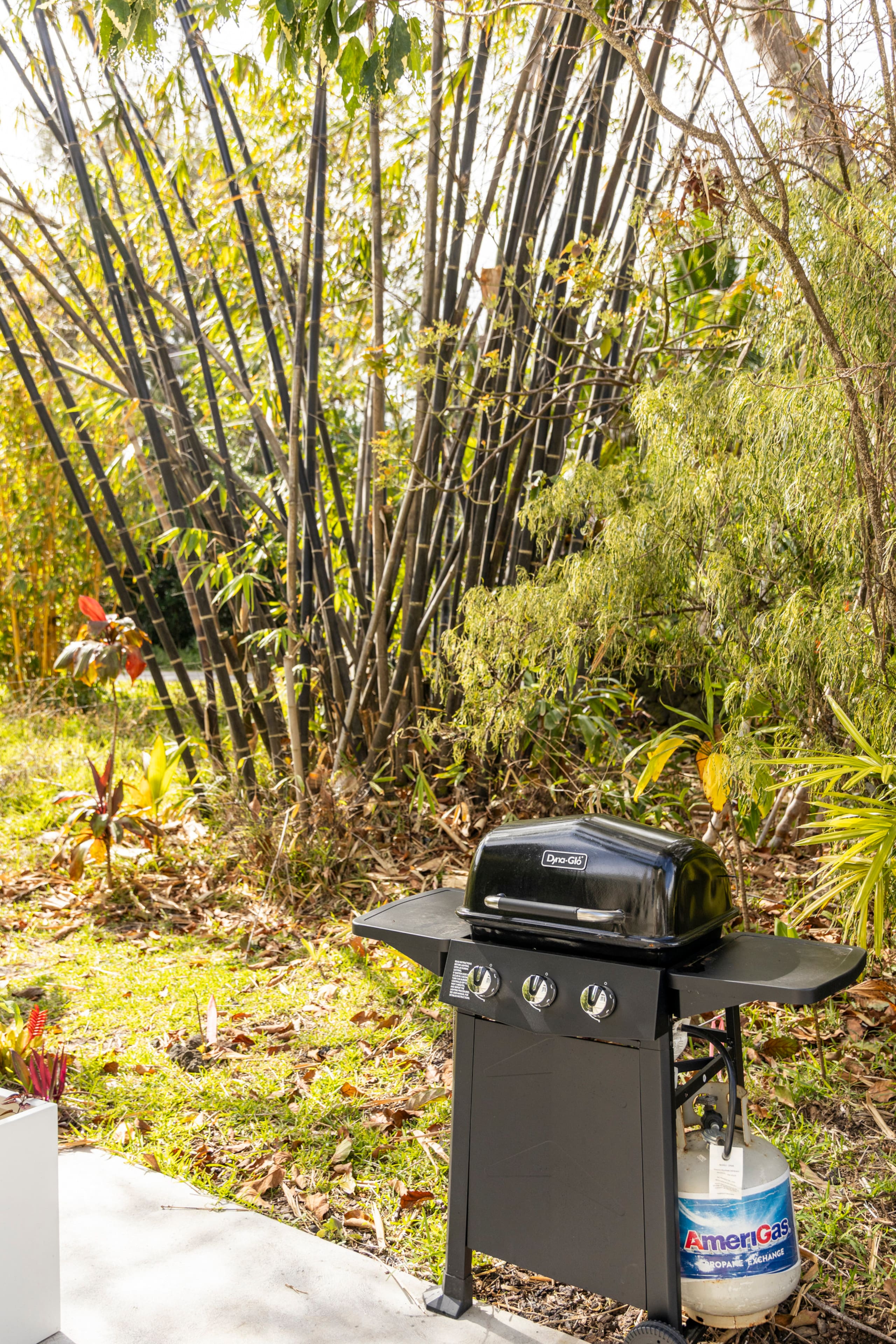 Home in Pahoa · ★4.97 · Studio · 2 beds · 1 bath - Image 29