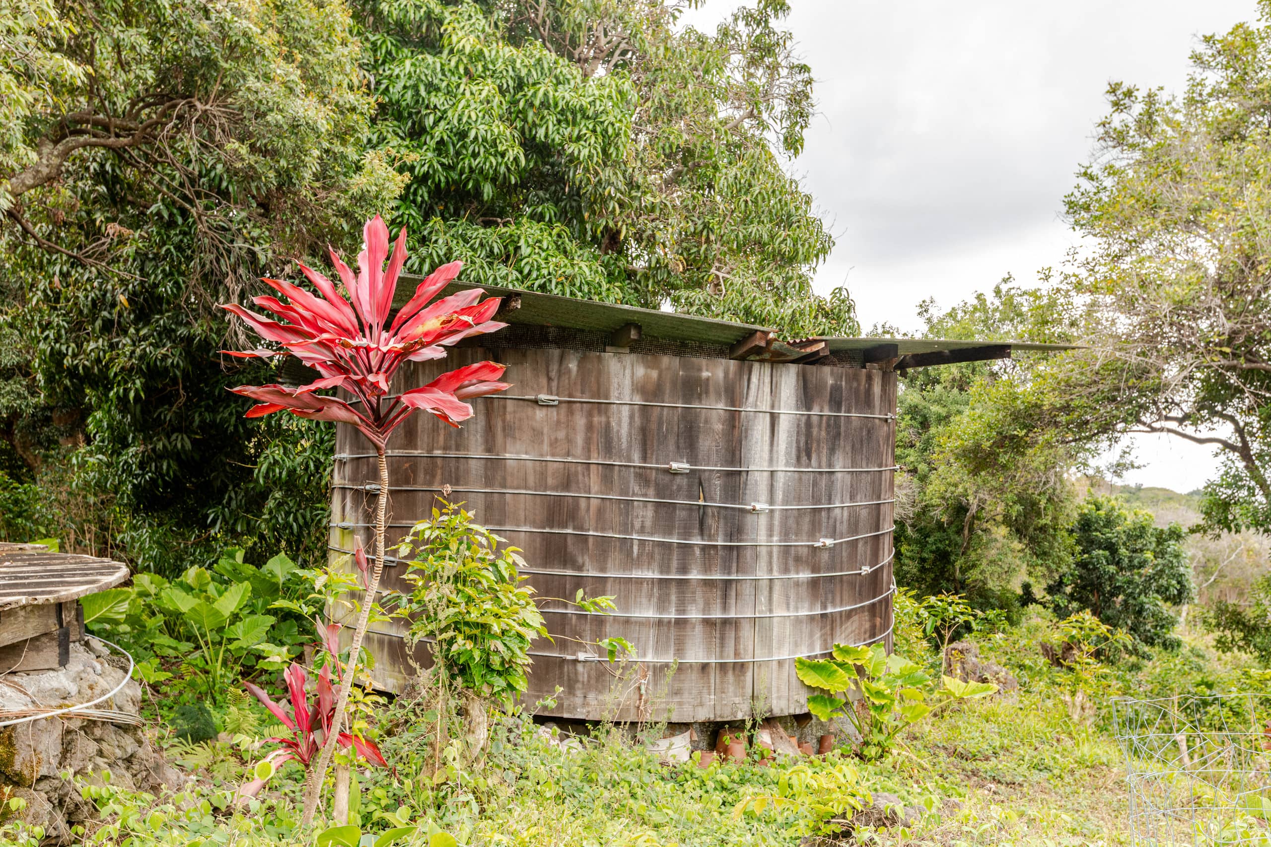 Home in Kailua-Kona · ★4.91 · 3 bedrooms · 3 beds · 2 baths - Image 80