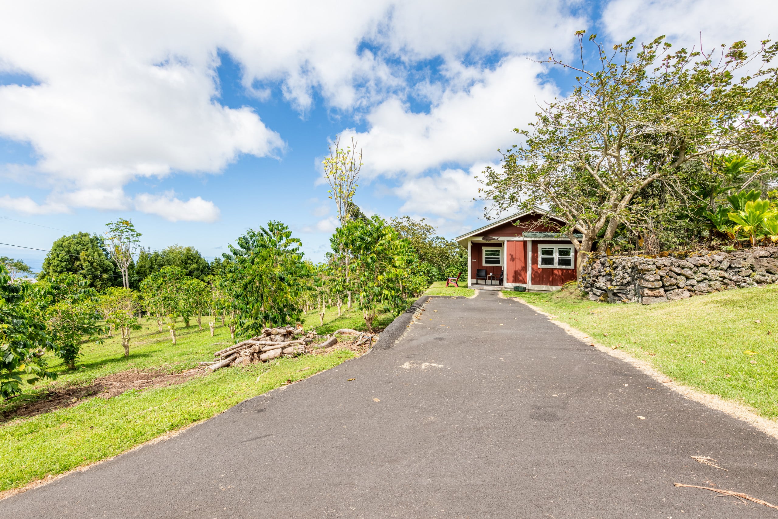 Radiant Ocean View Cottage on a Coffee Farm. Very Private. - Image 39