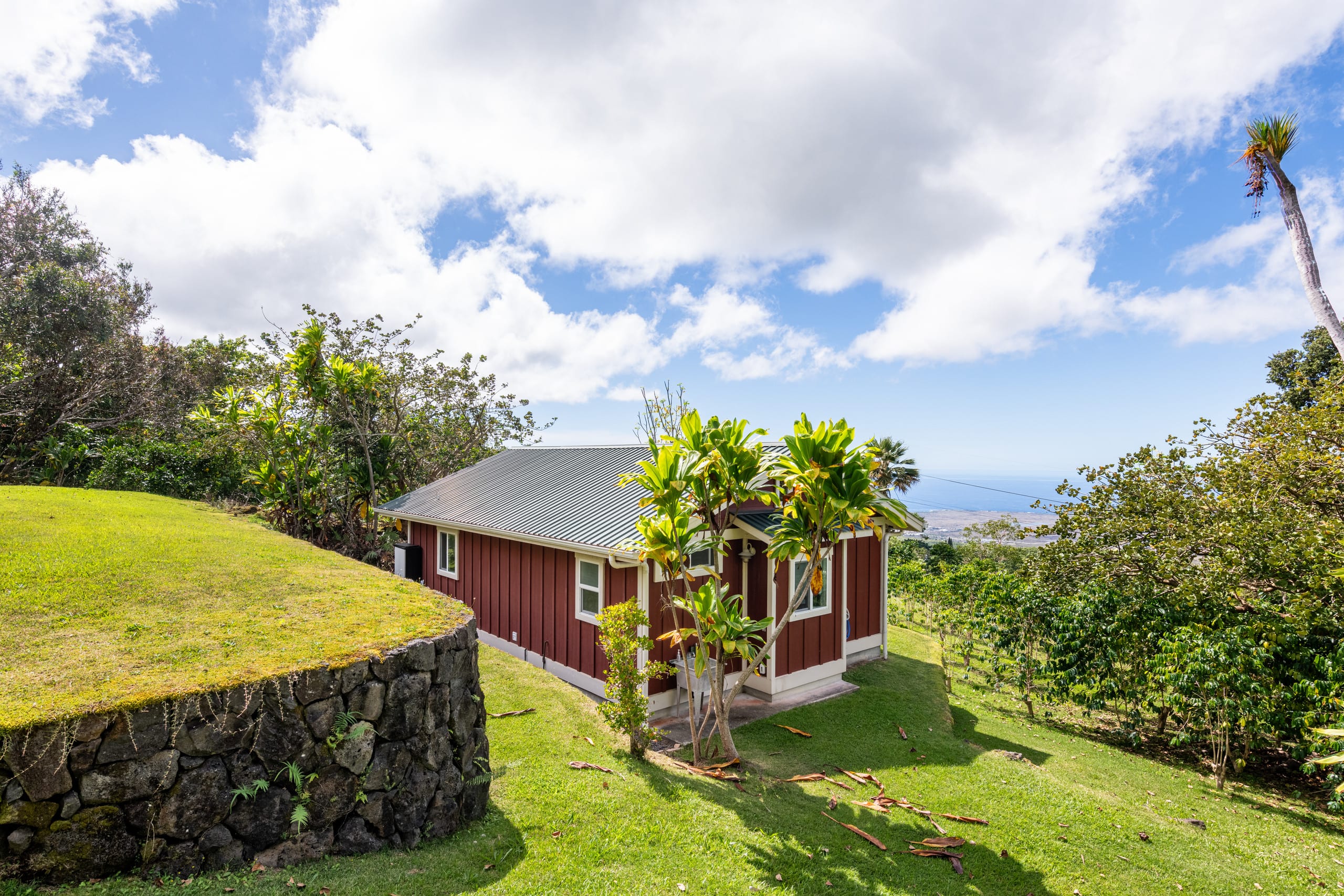 Radiant Ocean View Cottage on a Coffee Farm. Very Private. - Image 37