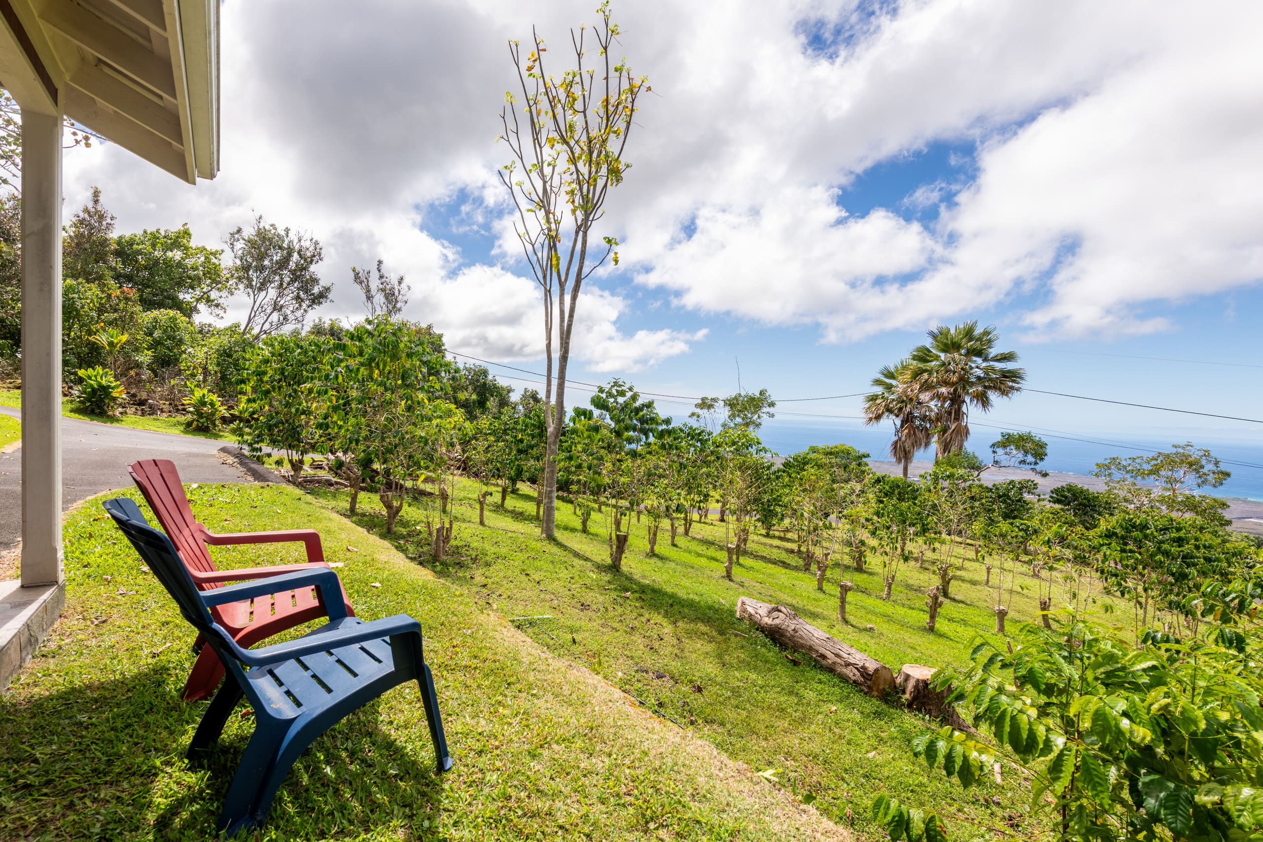 Radiant Ocean View Cottage on a Coffee Farm. Very Private. - Image 29