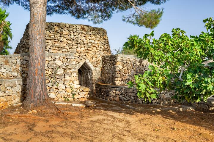 Relax Salento: house w pool 10min from Gallipoli gallery image 5