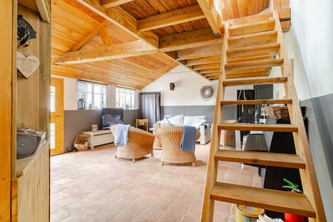 Successful Airbnb property: Cozy guesthouse on Schouwen-Duiveland in Schouwen Duiveland