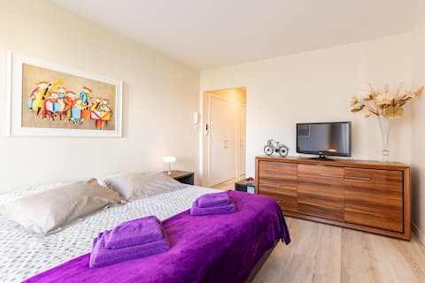 Annonce Airbnb populaire: 26 m² beachfront studio, Suquet, beach and center. à Cannes