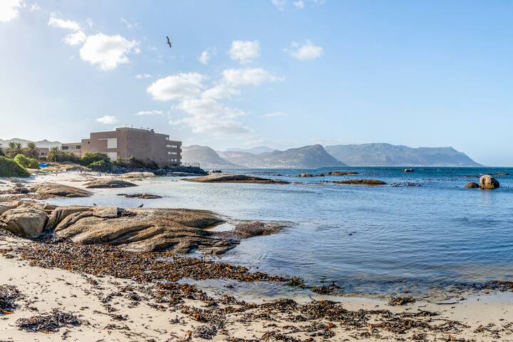 Penguin and Beach Paradise gallery image 2