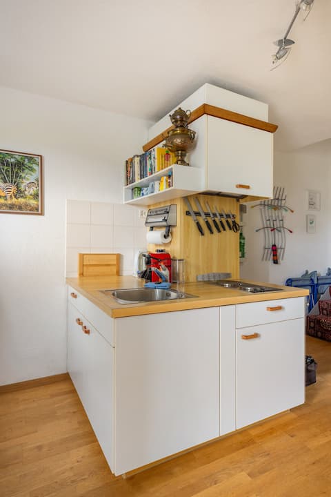 Top Airbnb: Cosy 1-room in-law Apartment in Zürich