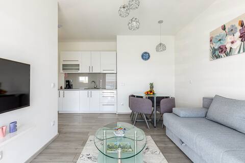 Apartman Skut