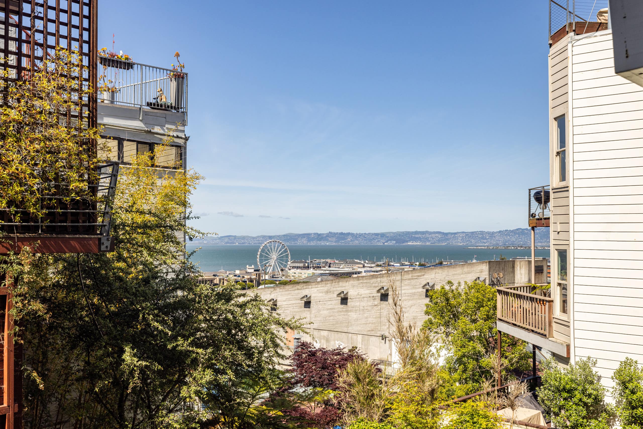 Russian Hill/ North Beach Garden Apartment - Image 44
