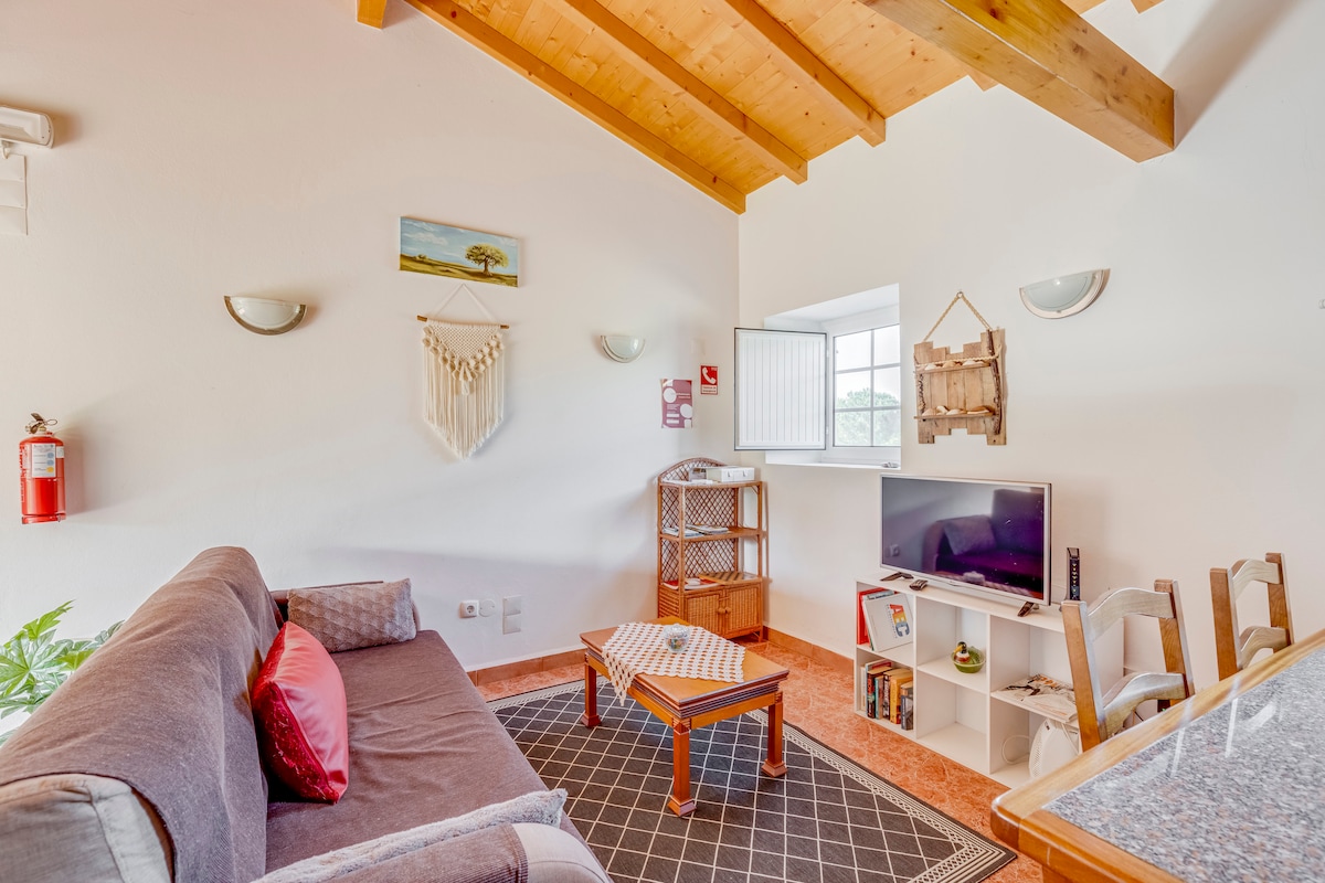 A living area features a comfortable sofa adorned with cushions, a coffee table, and a television on a shelf. Natural light enters through a window with a partially open shutter. Decorative elements include artwork on the wall and a light hanging above the seating area.
