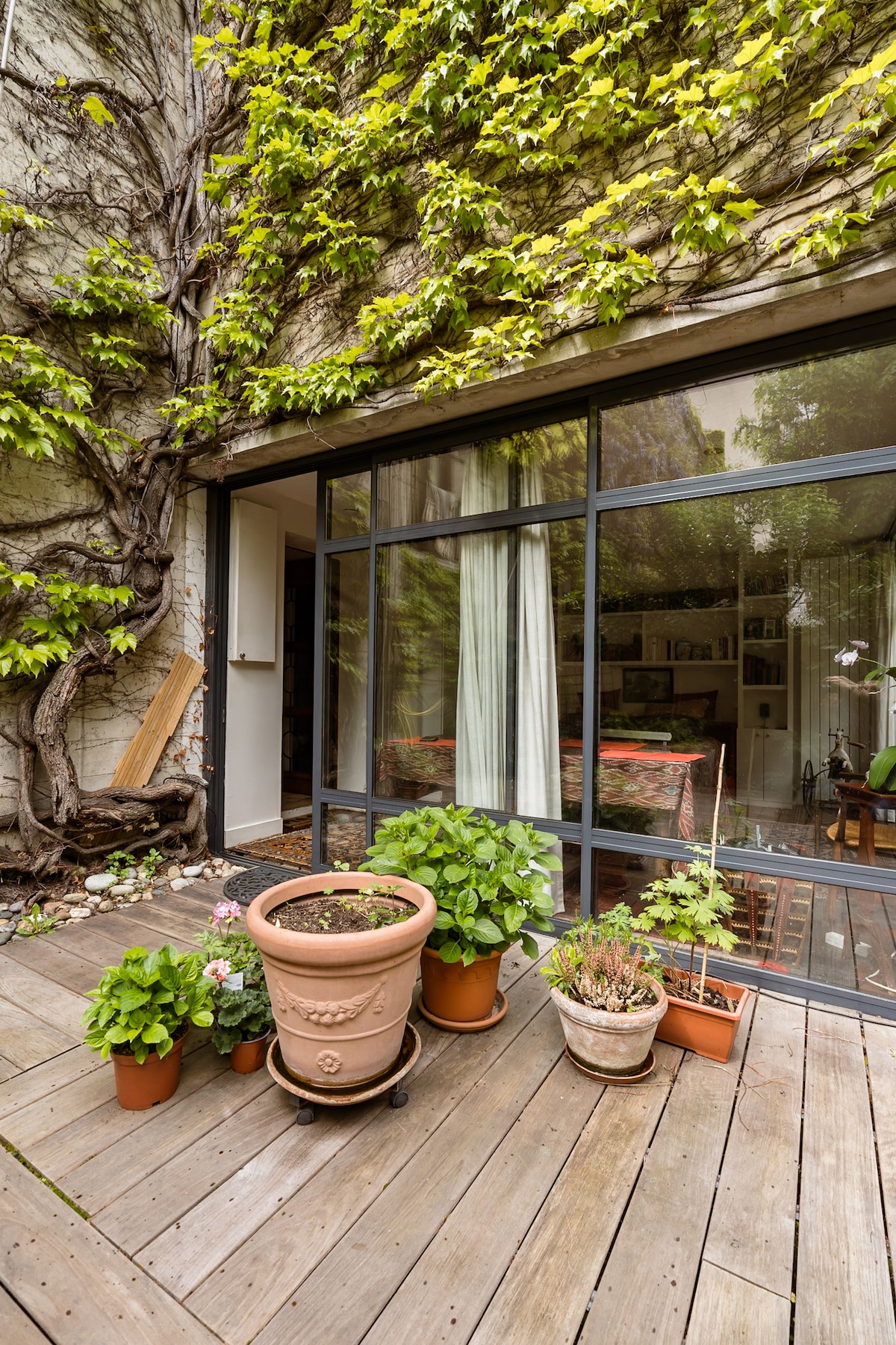 A wooden terrace is bordered by various potted plants, including a large terracotta pot. Large glass doors provide access to the interior, with natural light illuminating the space. A green vine climbs the adjoining wall, adding a touch of nature to the setting.