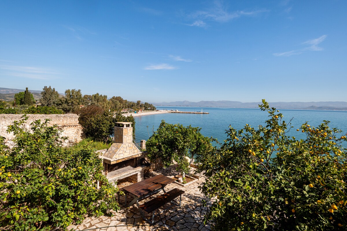 A serene courtyard is depicted with a stone barbecue area and a spacious wooden table. Surrounding citrus trees, including lemon and orange, provide a natural setting. The clear blue waters of the bay and the distant shoreline are visible, enhancing the tranquil atmosphere.