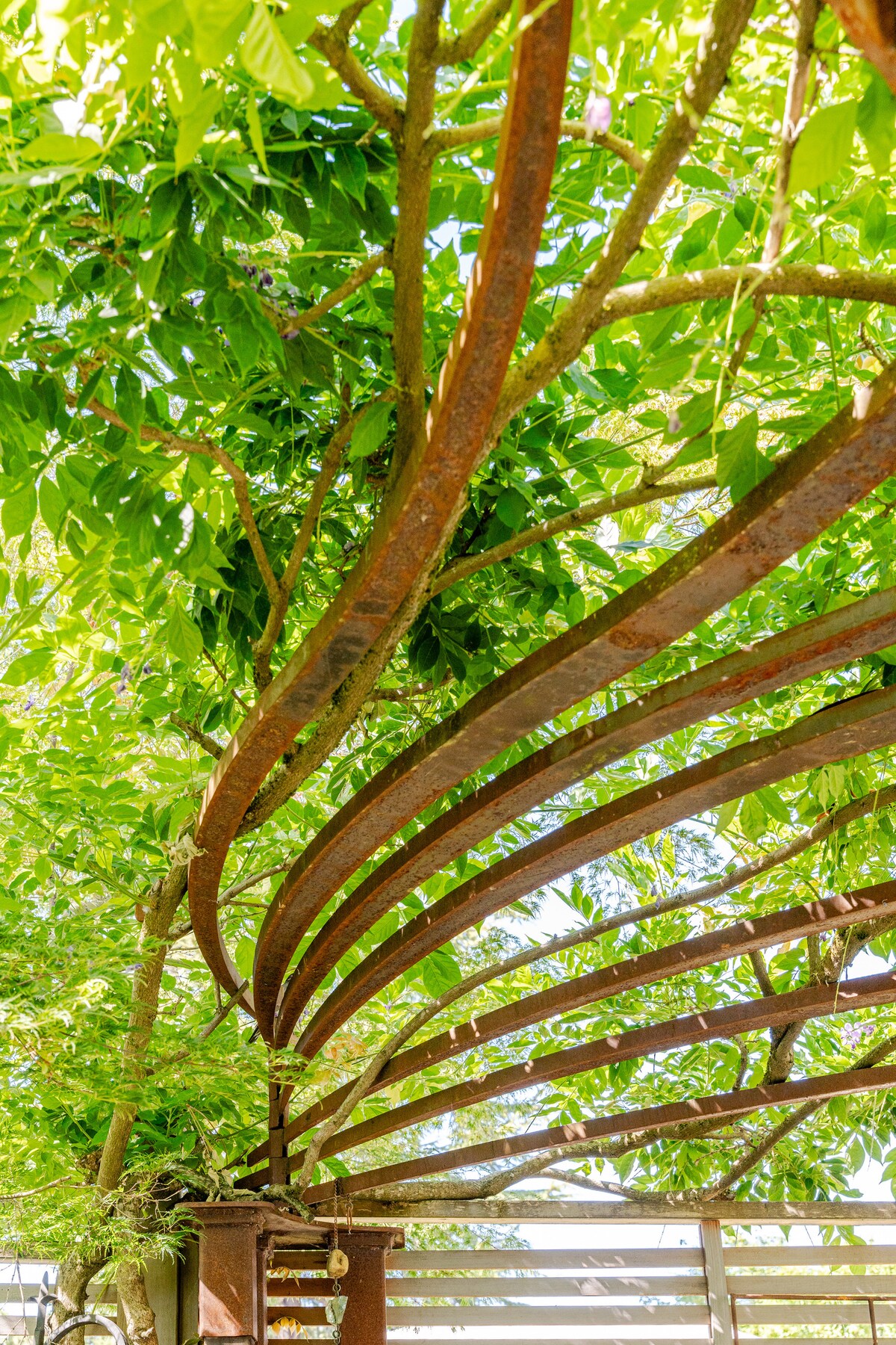 A metal pergola structure is depicted, with curved beams gracefully supporting lush green foliage above. Sunlight filters through the leaves, casting gentle shadows onto the wooden decking below. The natural elements create a serene outdoor space, inviting relaxation and connection with nature.