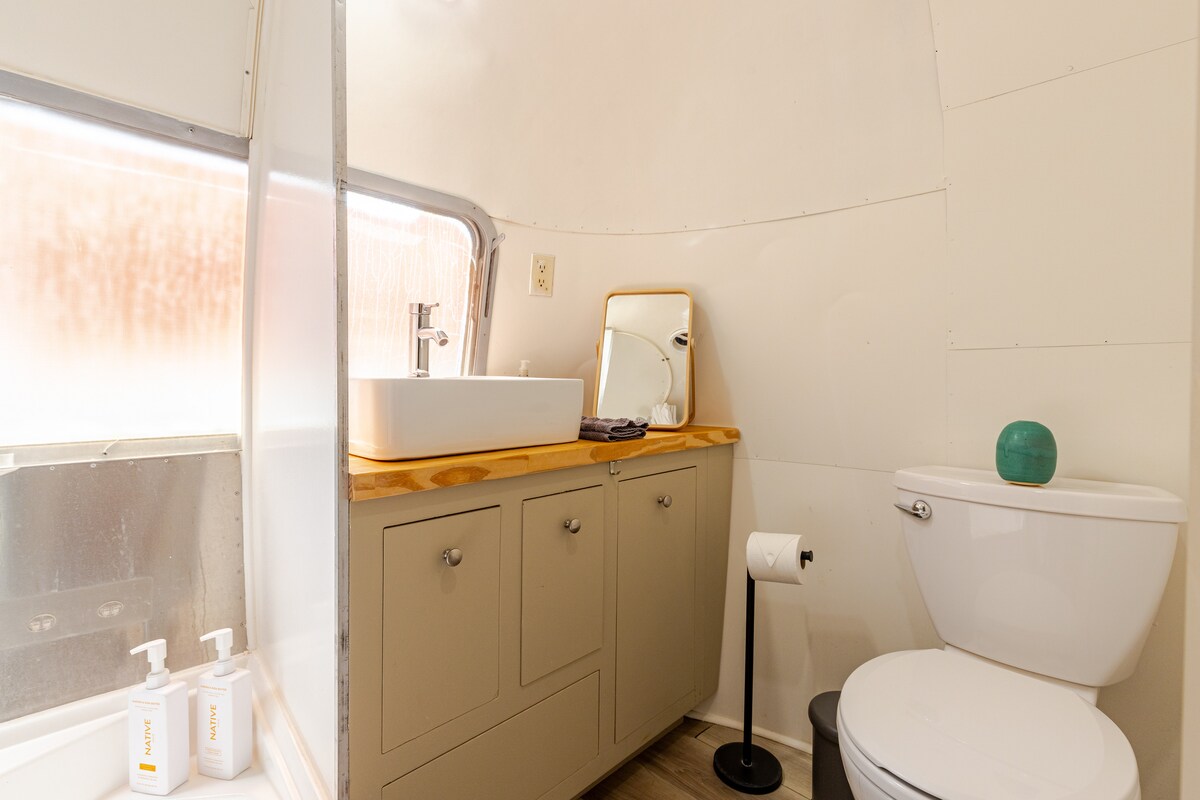 Elevated Airstream in Walkable East Austin