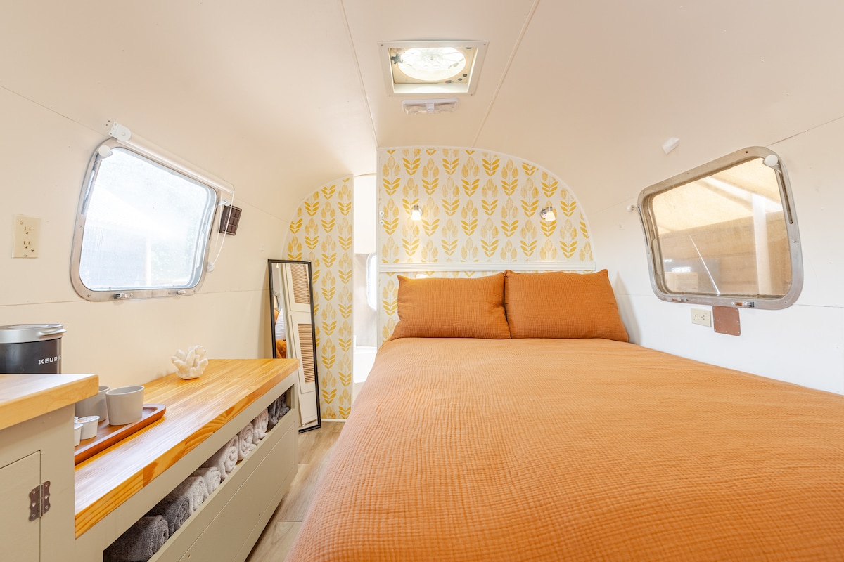Elevated Airstream in Walkable East Austin