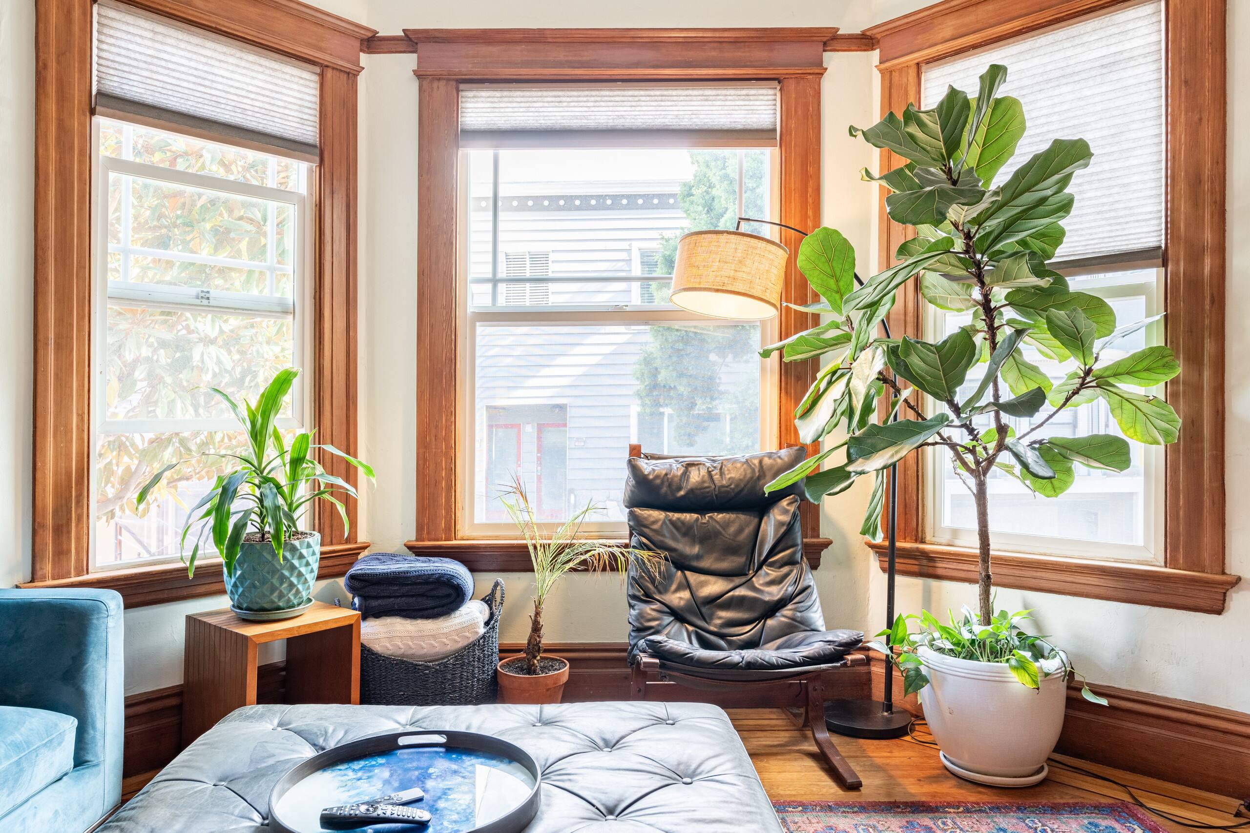 Home in San Francisco · ★4.98 · 2 bedrooms · 3 beds · 1.5 baths - Image 6