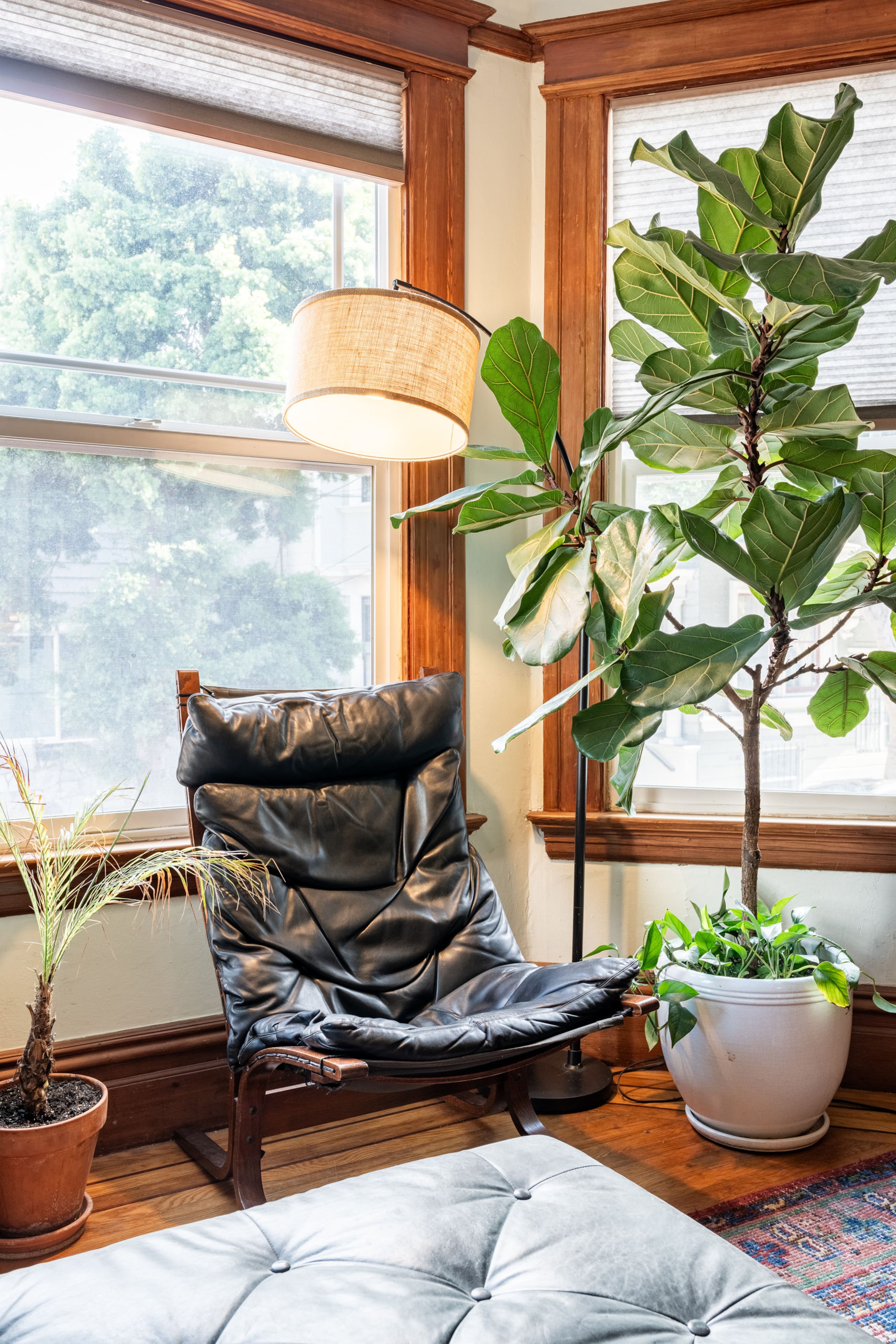 Home in San Francisco · ★4.98 · 2 bedrooms · 3 beds · 1.5 baths - Image 4