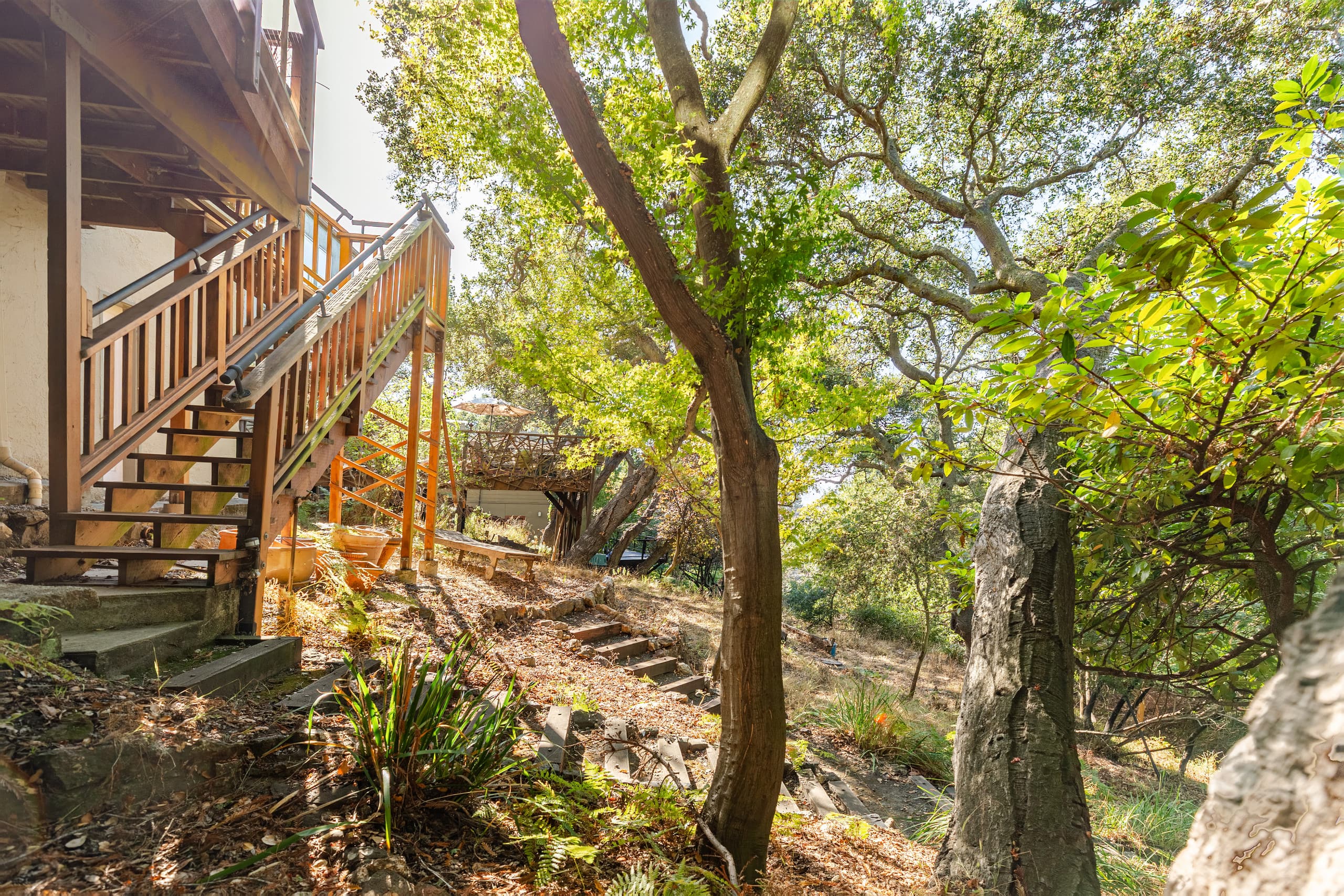 Peaceful North Berkeley in-law overlooking creek - Photo 16