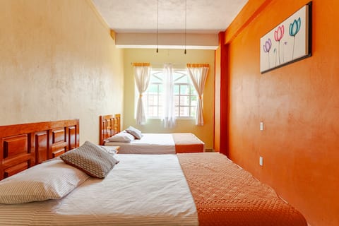 Successful Airbnb property: "Casa Tulipanes" with a private pool in Temixco