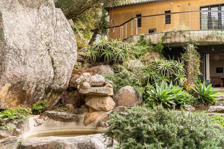 Confort apartmt GFl, Sintra garden and ocean view gallery image 5