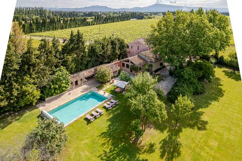 In the Heart of Provence -Vintage French FarmHouse